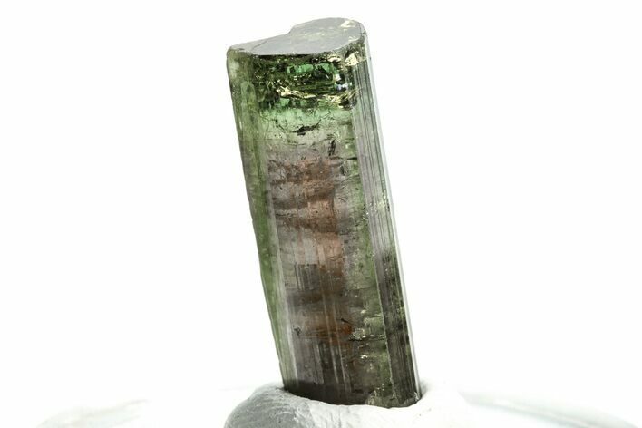 Bicolor Elbaite Tourmaline Crystal - Aricanga Mine, Brazil #206866